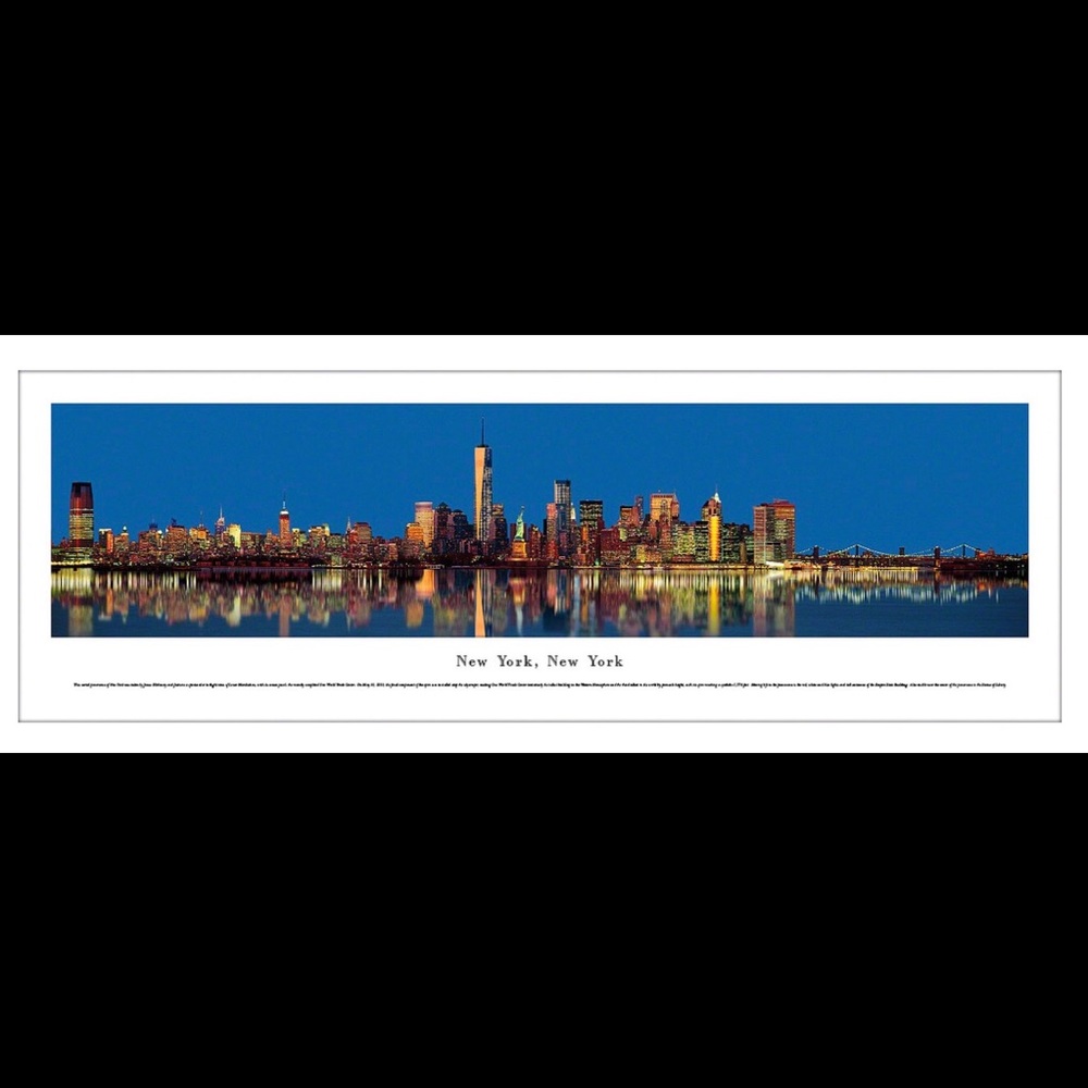 NYC skyline at twilight NWOT